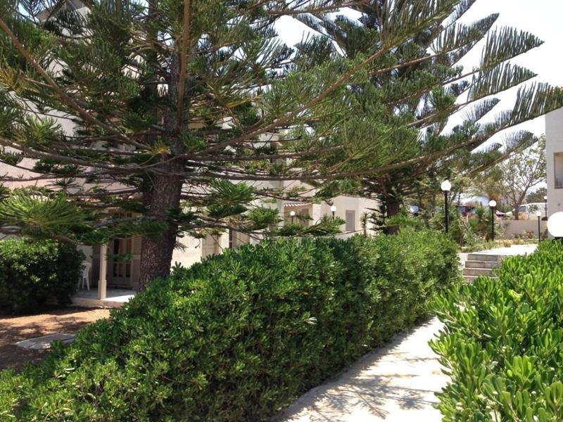 Panorama-Seaview Studios & Apartments 헐소니소스 외부 사진